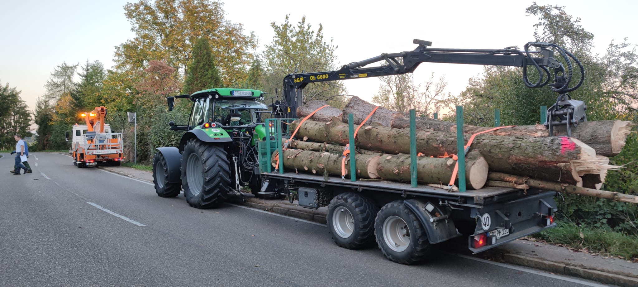 Abtransport von Stammholz