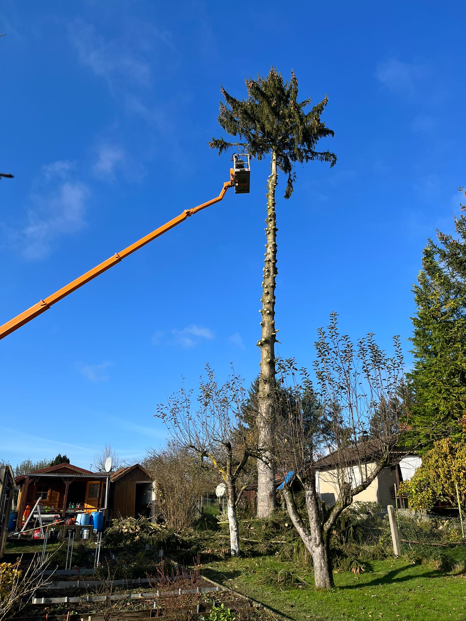 Baumfällung mit Hubtechnik